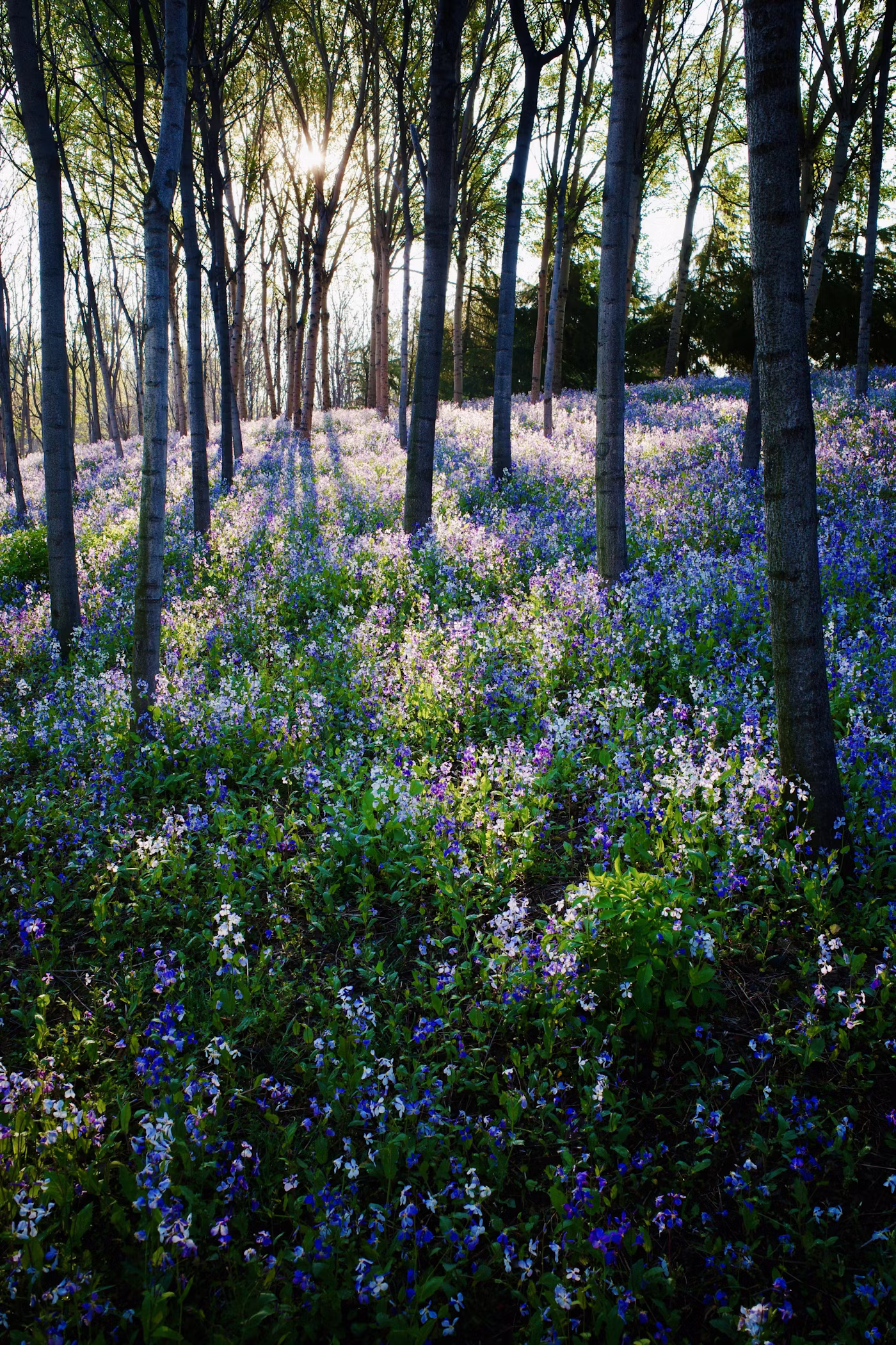 Zorgvastgoed en maatschappelijke huisvesting